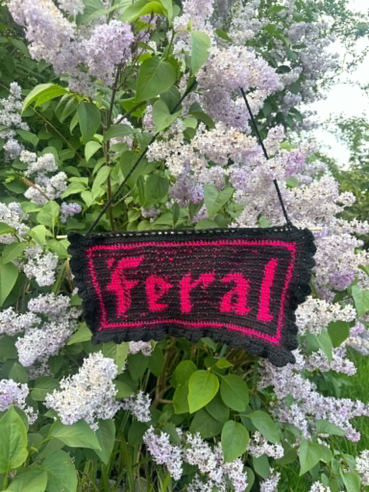 Handmade Crochet “Feral” Wall Hanging